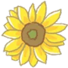 🌼