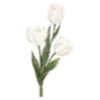 🌸