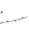 💡