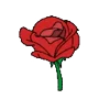 🌹