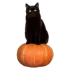 🎃