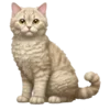 😹