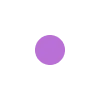 🟠