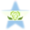 ⭐