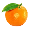 🍊