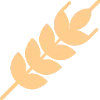 🌾