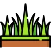 🌱