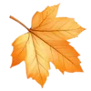 🍁