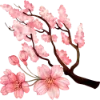 🌸