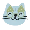 😽