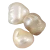 🐚