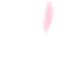 🌸