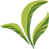 🌱