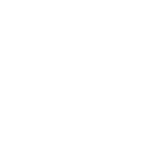 👑