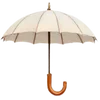 ☂️