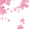 🌸
