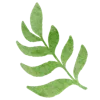 🌿