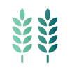 🌾