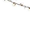 💡
