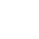🪙
