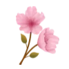 🌷