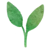 🌱