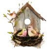 🪵