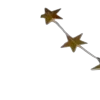 🌟