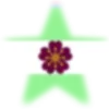 ⭐