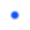 🔹