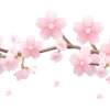 🌸