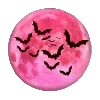 🌕