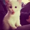 🤩