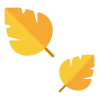 🍂