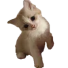 👋