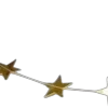 🌟