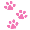 🐾