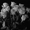🥀