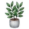 🌿