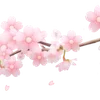 🌸