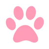 🐾