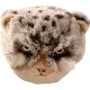 😾