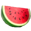 🍉