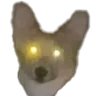 👀