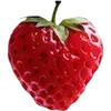 🍓