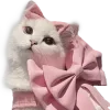 🐱