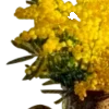 🌼