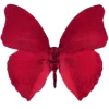 🦋