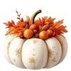 🍁