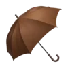 ☂️